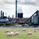 Landschapsvervuiling door CO2-opslag?